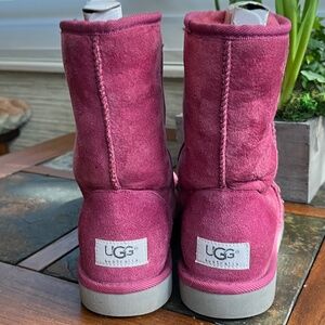 UGG Classic Short Boots   Fuschia Tone   Good Condition With Normal Wear  Size 7
